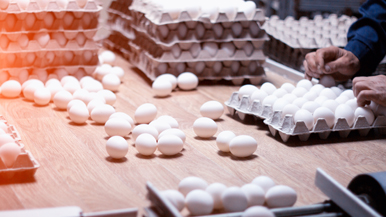 无需人工目检，即可提供稳定可靠的质量检查，解决劳动力短缺问题