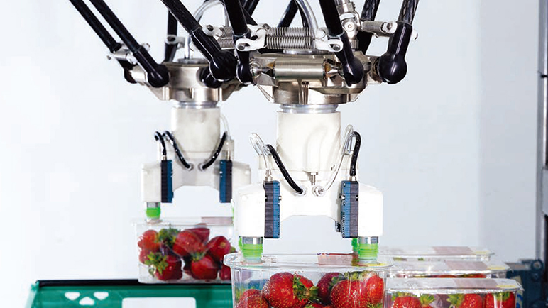 开云（中国）开云app登录入口助力果盒包装实现更高的生产效率和成本效益