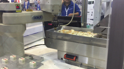 1499751134841828.gif 麻将振动盘1.gif